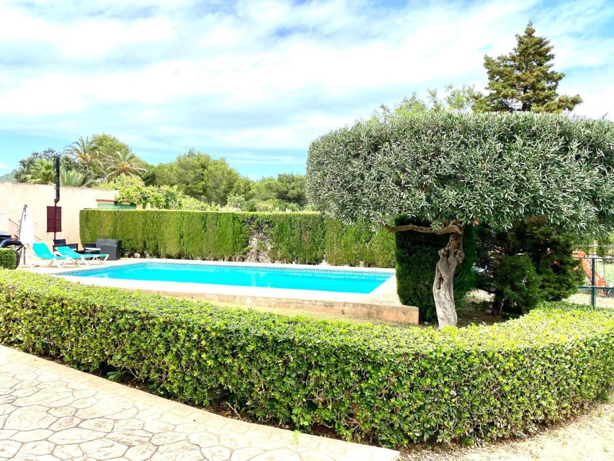 Finca Oliva - A45428 *